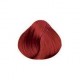 6.66 (6Rr) Dark Intense Red Blonde